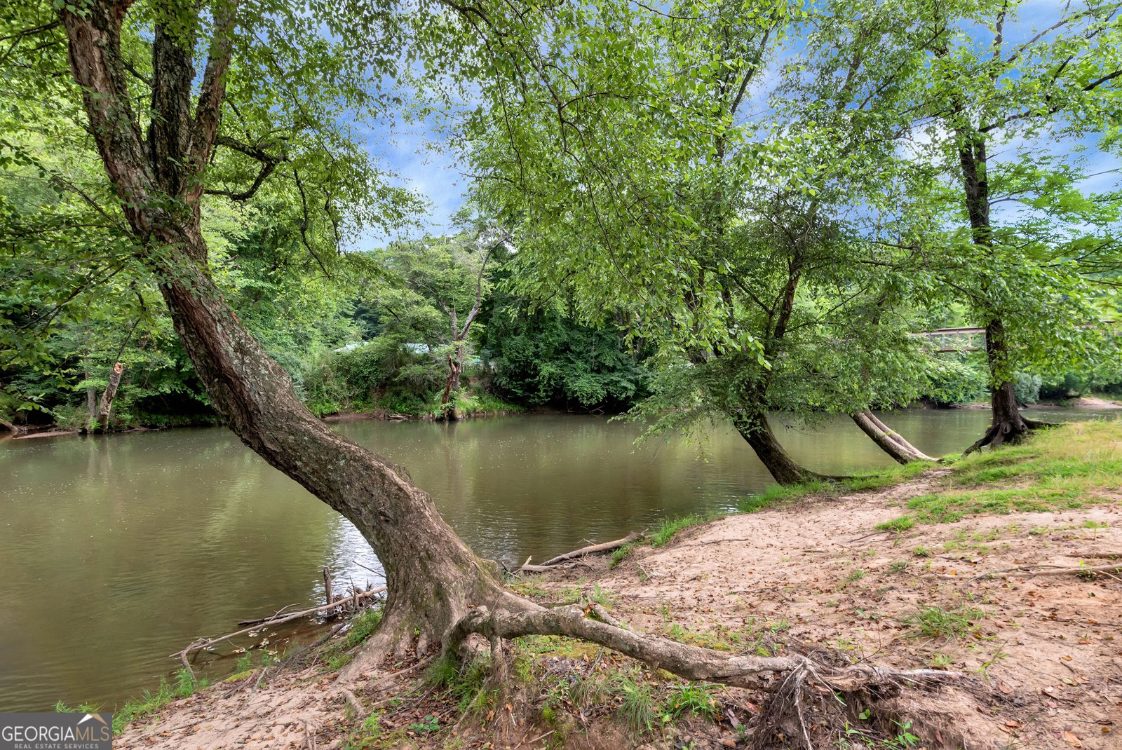 6 Spalding Court Ellijay - 63
