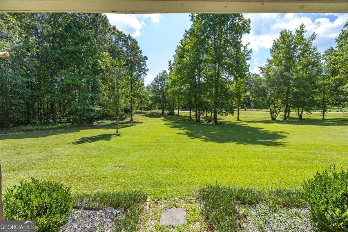 150 Natures Trail Forsyth - 3