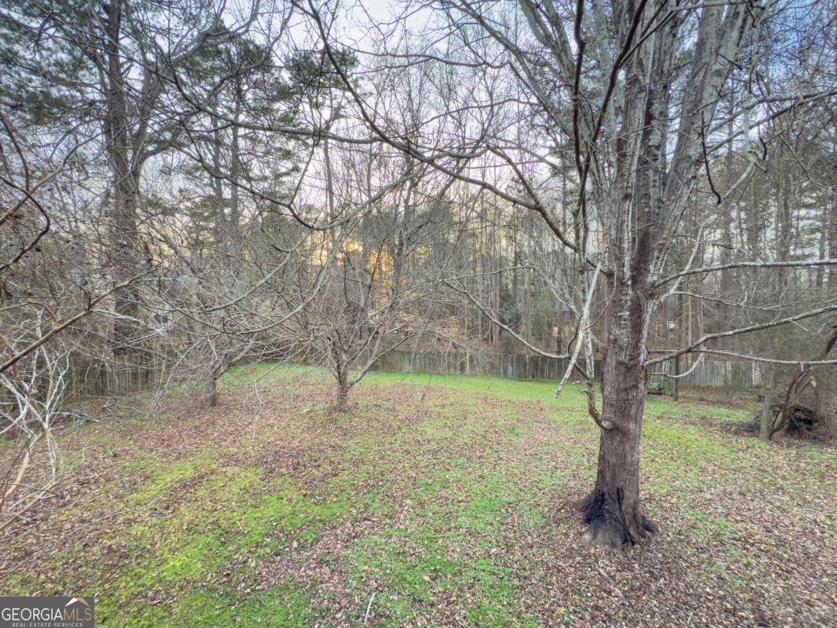 412 Tabby Lane Winder - 10