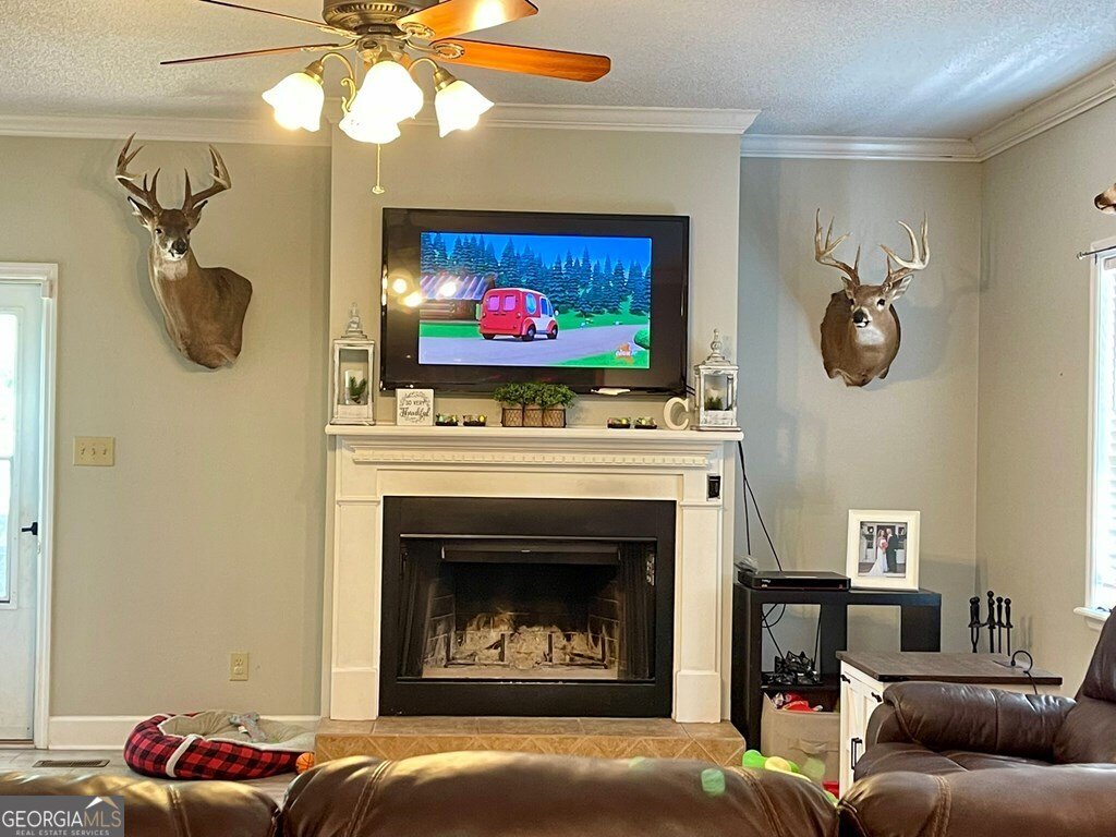 133 Dewberry Drive Sylvester - 4