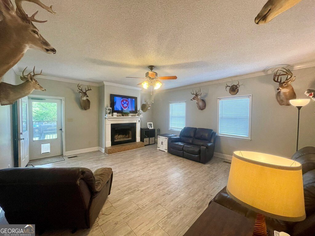 133 Dewberry Drive Sylvester - 5