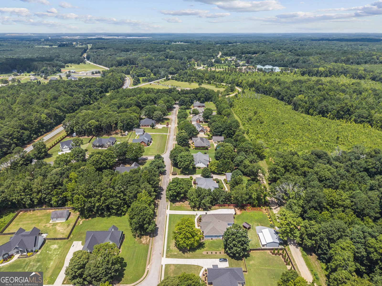 218 Willow Ridge Lane Jackson - 47