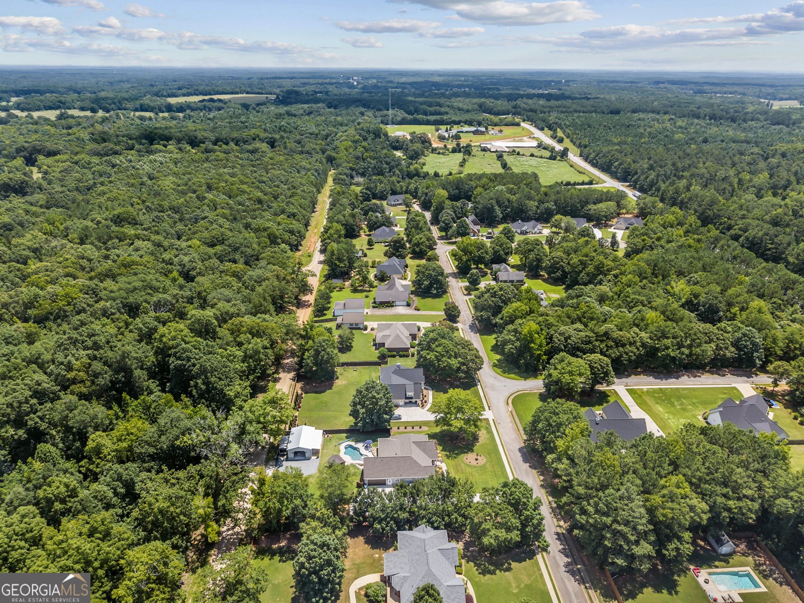 218 Willow Ridge Lane Jackson - 49