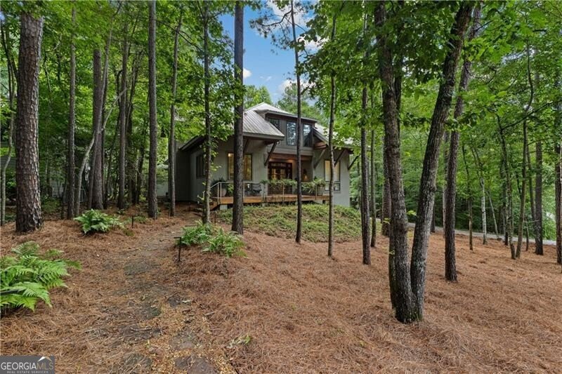 9016 Selborne Lane Chattahoochee Hills - 3