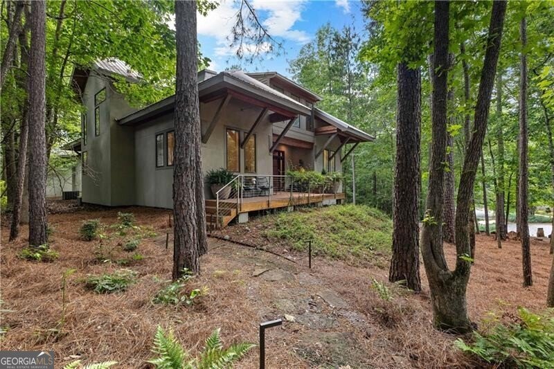 9016 Selborne Lane Chattahoochee Hills - 4