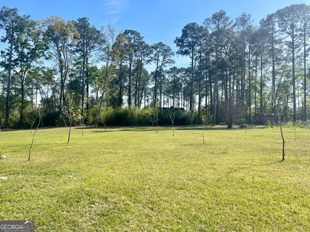106 Dunbar Circle Sylvester - 25