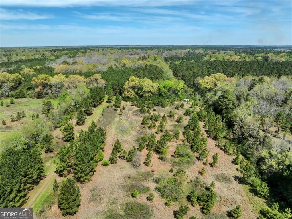 254 Fussell Road Leesburg - 77