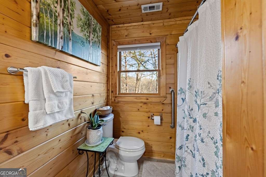 364 Bice Lane Blue Ridge - 35