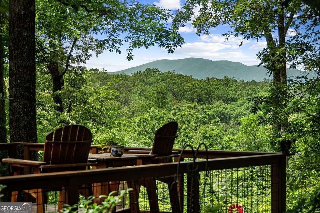 364 Bice Lane Blue Ridge - 51