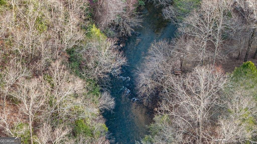 364 Bice Lane Blue Ridge - 61