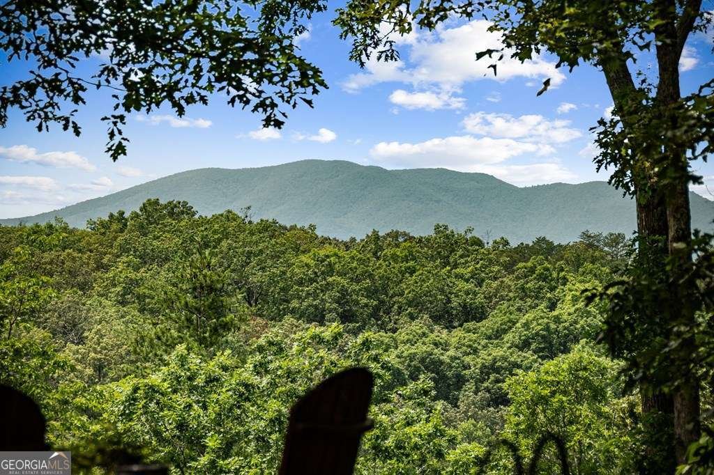 364 Bice Lane Blue Ridge - 65