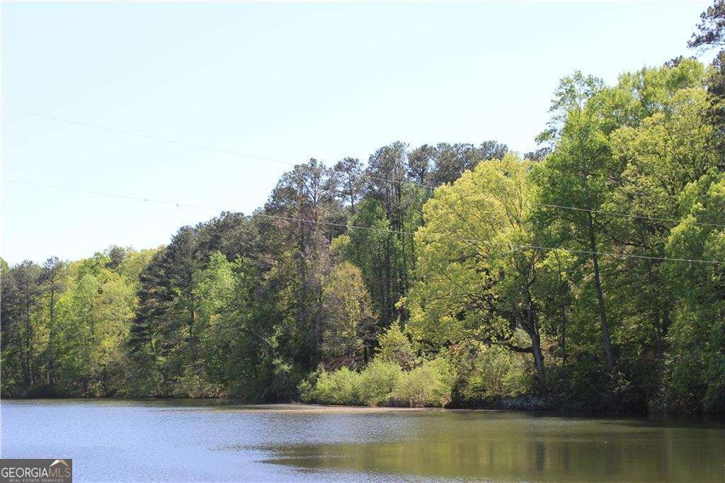 225 Bayswater Drive Suwanee - 42
