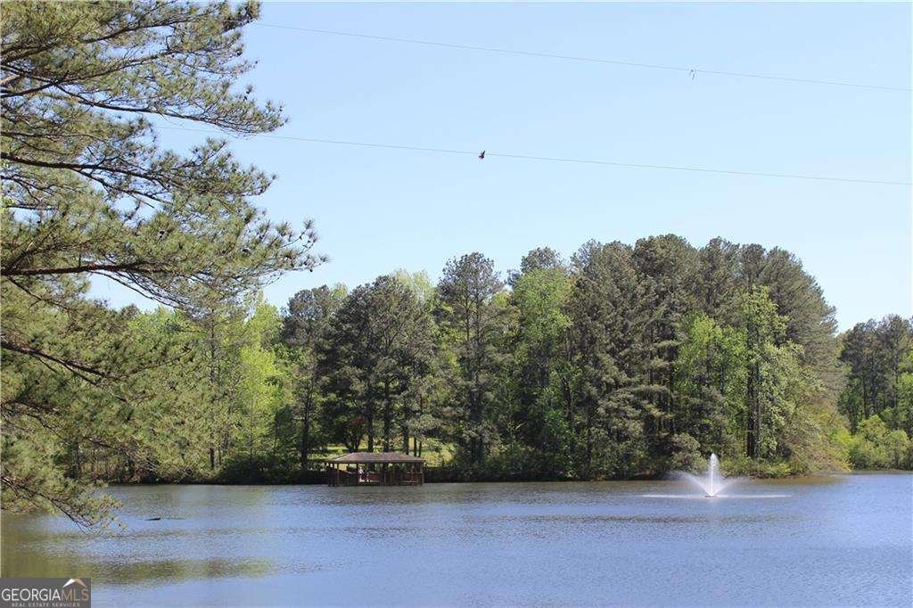 225 Bayswater Drive Suwanee - 43