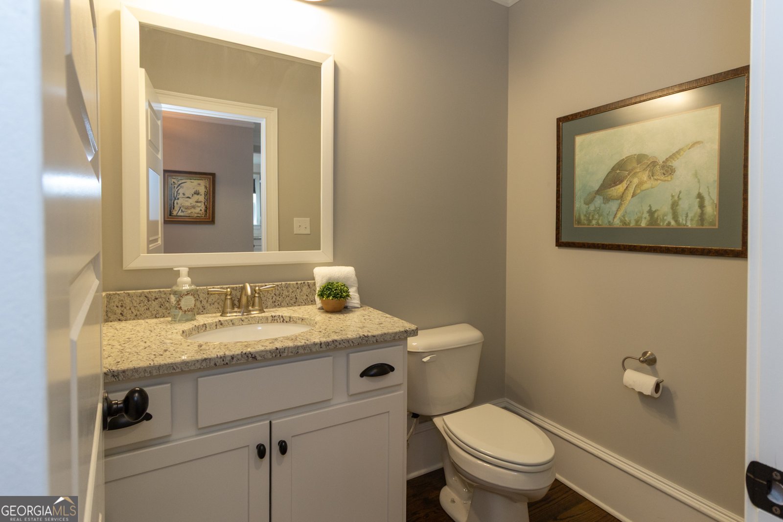 220 Johnson Street Senoia - 32