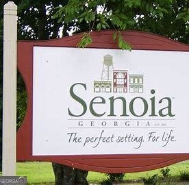220 Johnson Street Senoia - 73