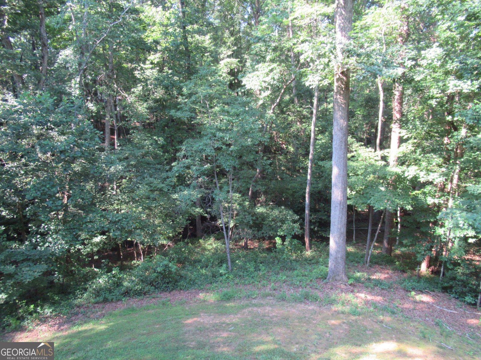 93 Martins Grove Road Dahlonega - 35