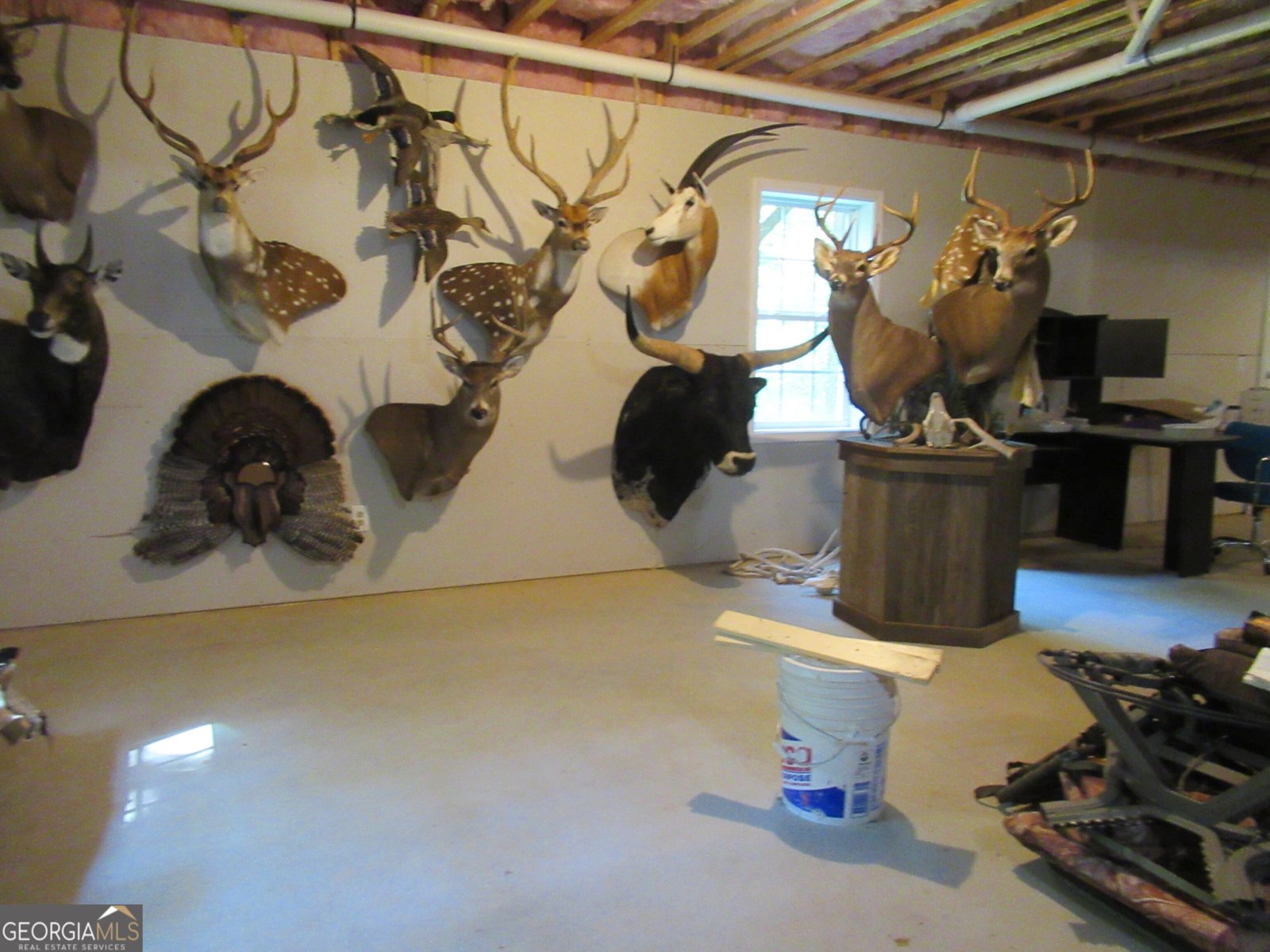 93 Martins Grove Road Dahlonega - 43