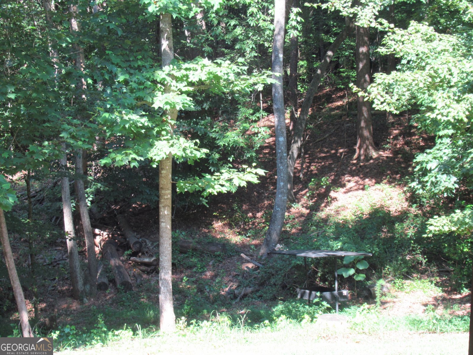 93 Martins Grove Road Dahlonega - 50