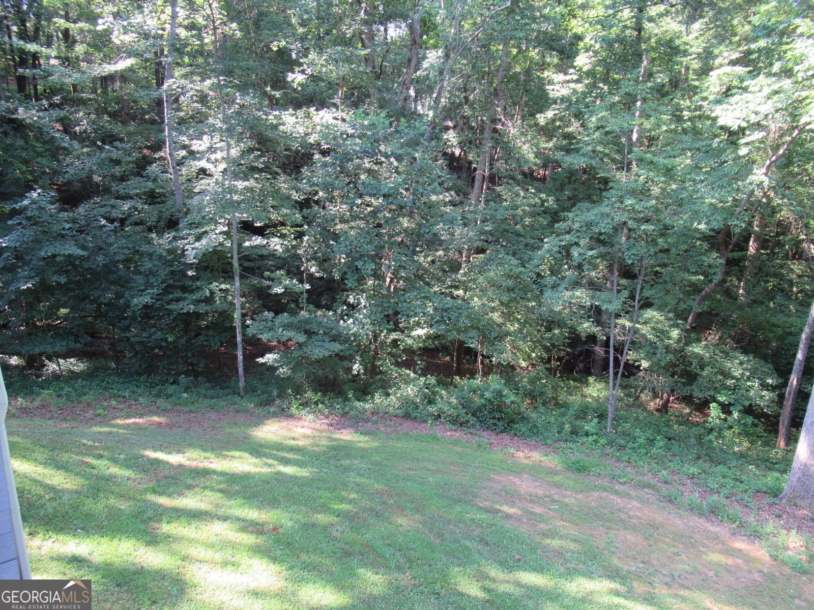 93 Martins Grove Road Dahlonega - 51