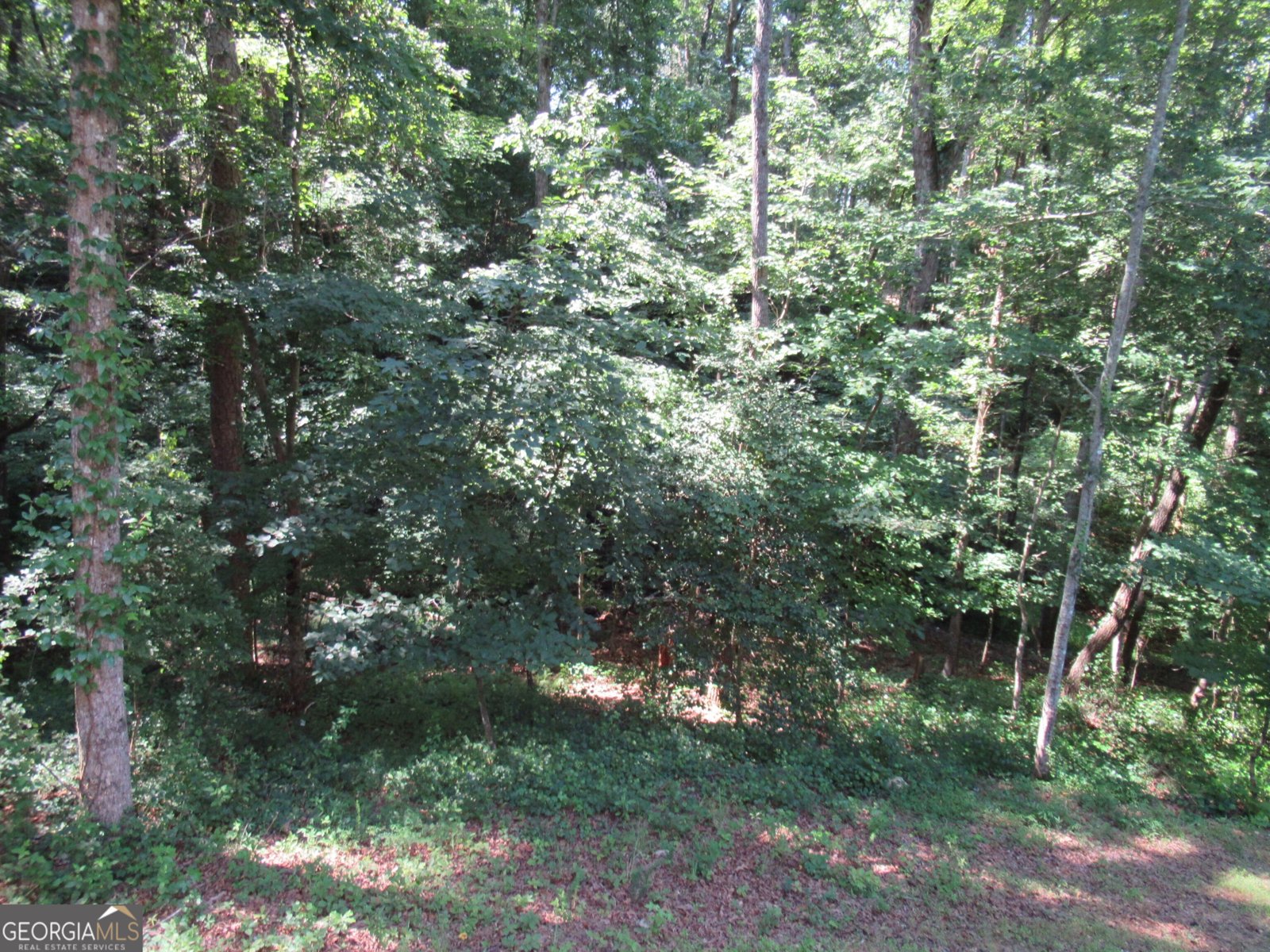 93 Martins Grove Road Dahlonega - 60