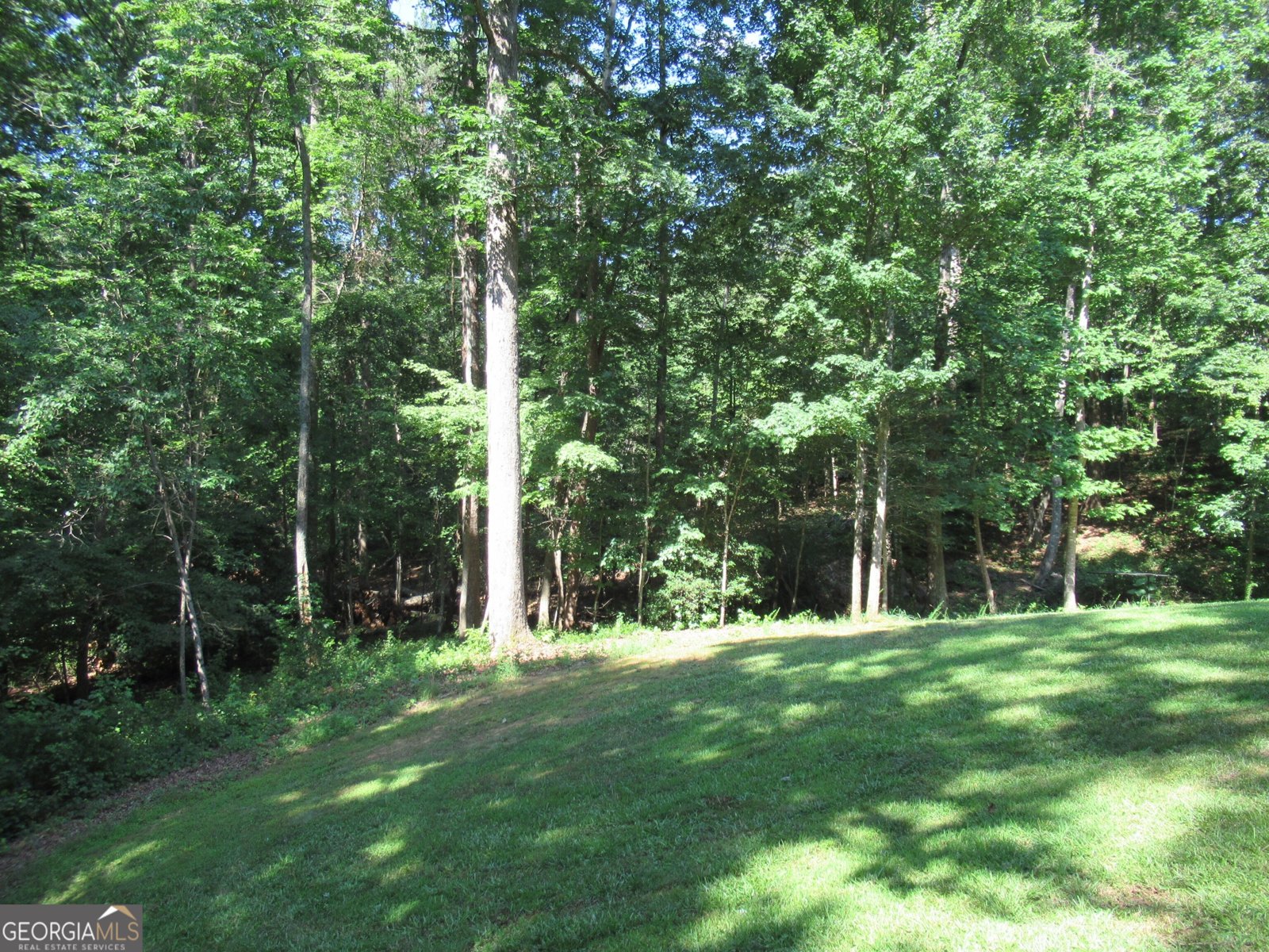 93 Martins Grove Road Dahlonega - 61