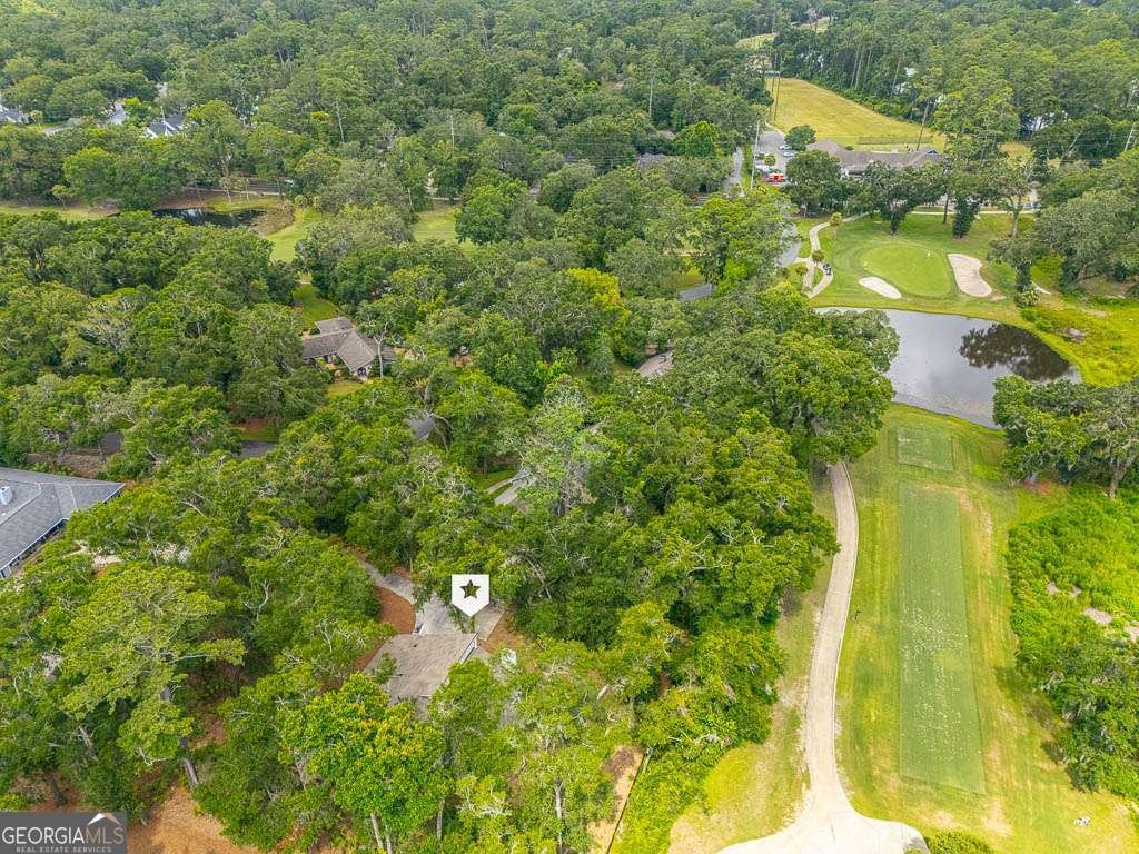 105 Windward Drive St. Simons - 3