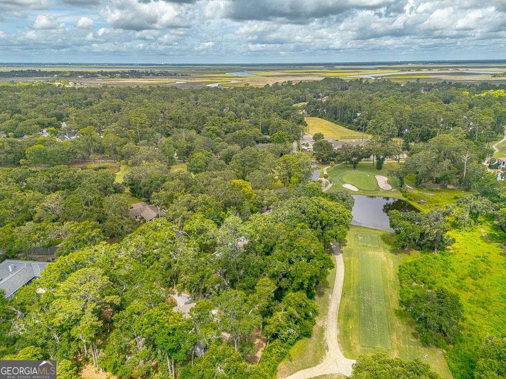 105 Windward Drive St. Simons - 37