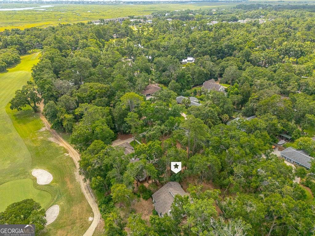 105 Windward Drive St. Simons - 44