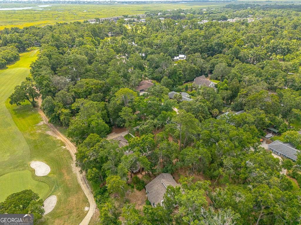 105 Windward Drive St. Simons - 46