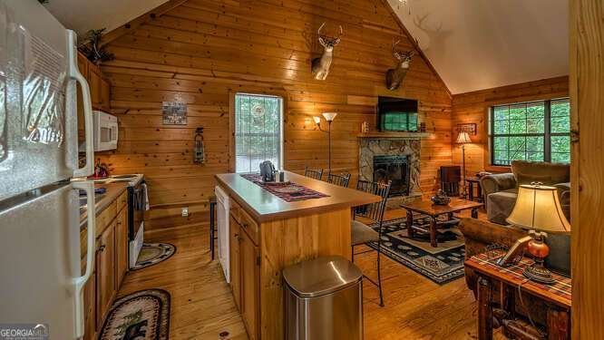 1509 Millenium Drive Young Harris - 11