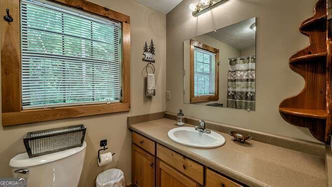 1509 Millenium Drive Young Harris - 19