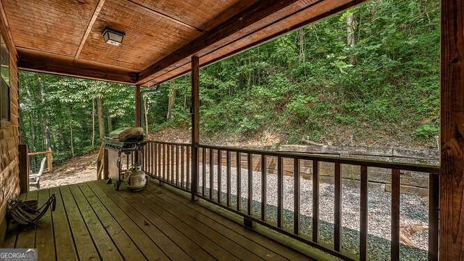 1509 Millenium Drive Young Harris - 30