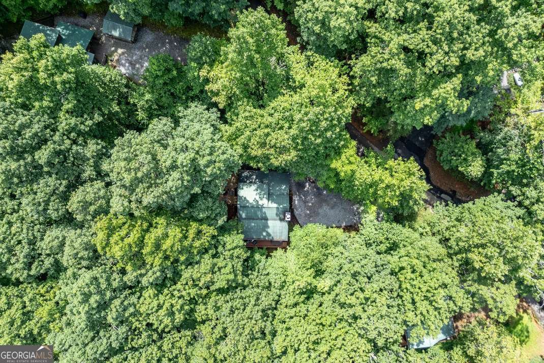 1509 Millenium Drive Young Harris - 44
