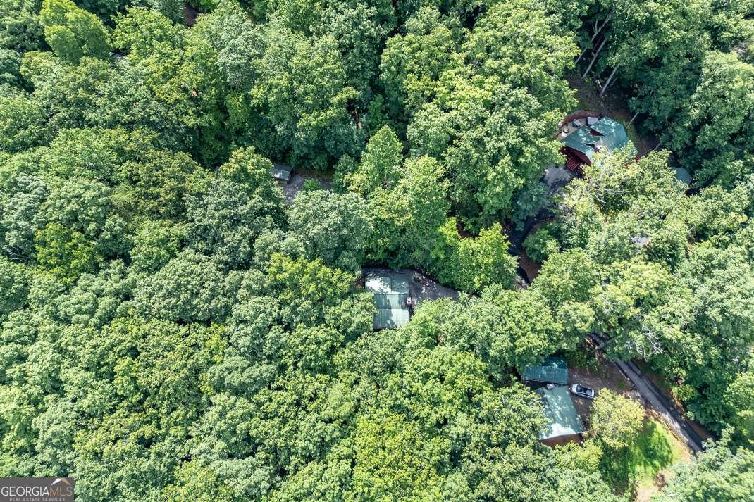 1509 Millenium Drive Young Harris - 45