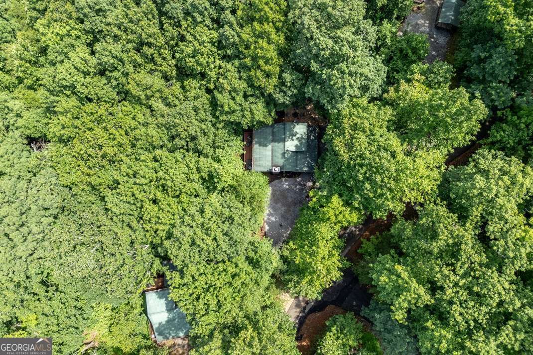1509 Millenium Drive Young Harris - 46