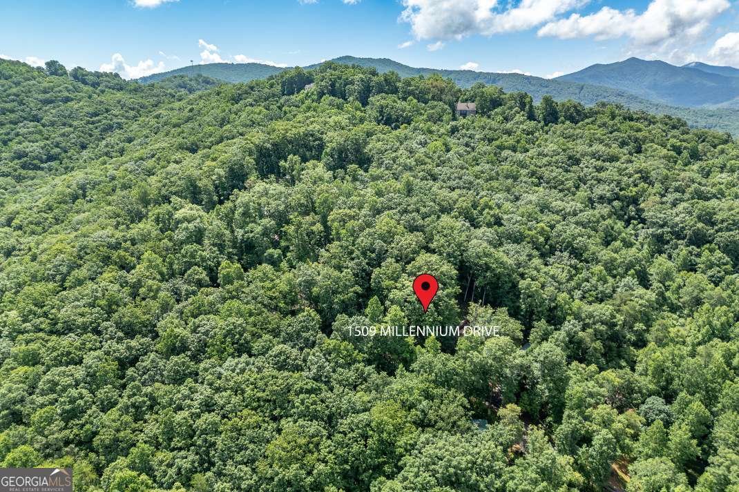 1509 Millenium Drive Young Harris - 48