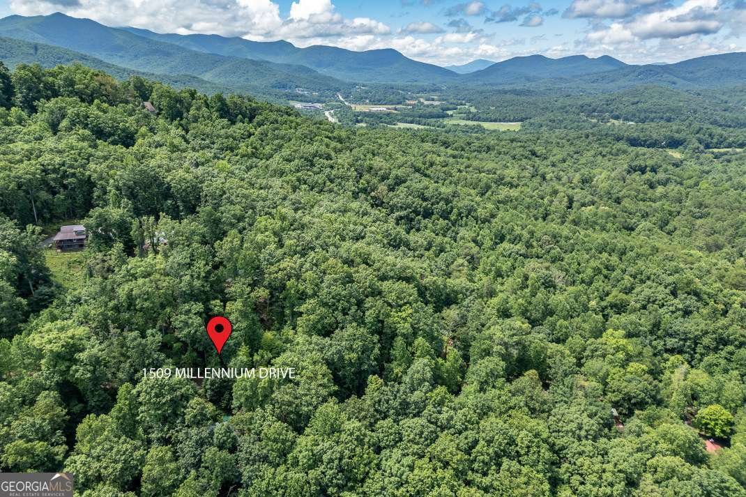 1509 Millenium Drive Young Harris - 52