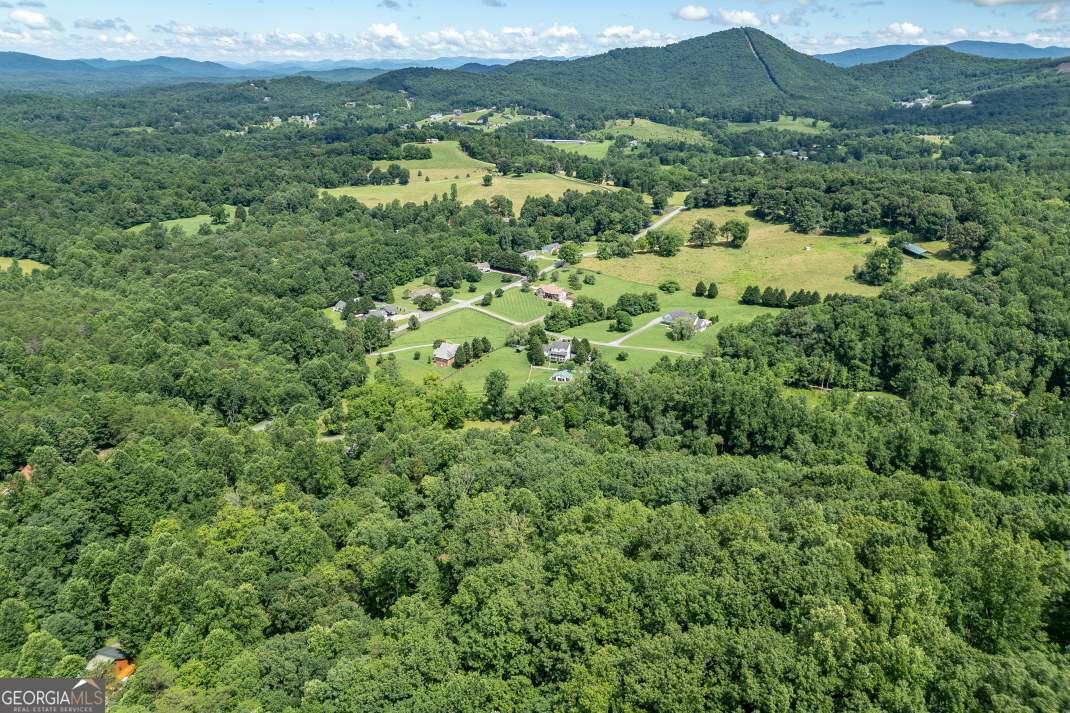 1509 Millenium Drive Young Harris - 57
