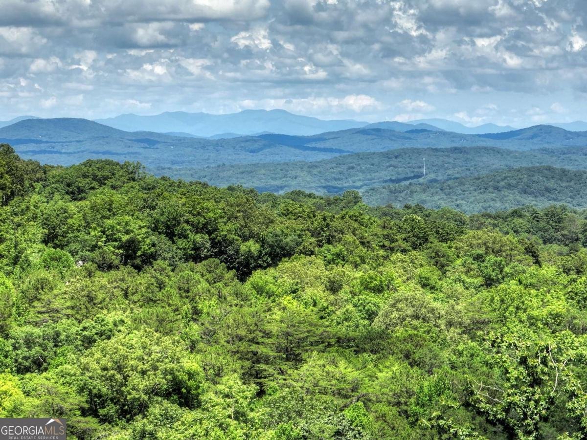 467 Deer Crest Road Blue Ridge - 3