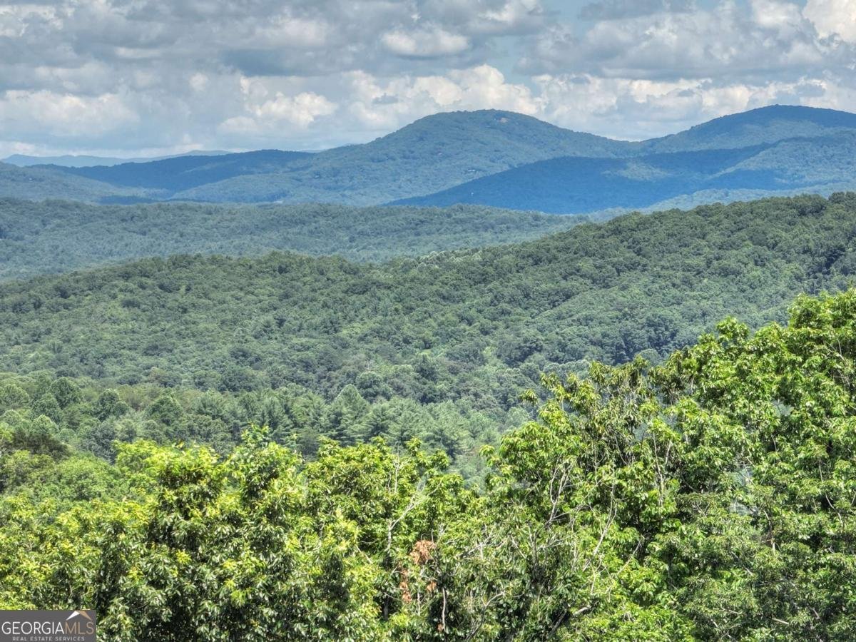 467 Deer Crest Road Blue Ridge - 66