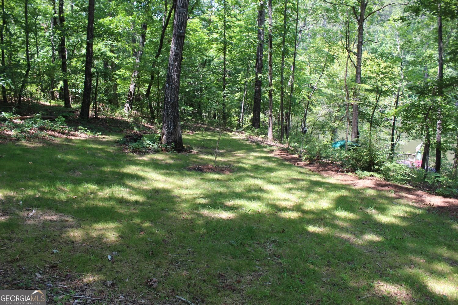 115 Kagan Circle Whitesburg - 5