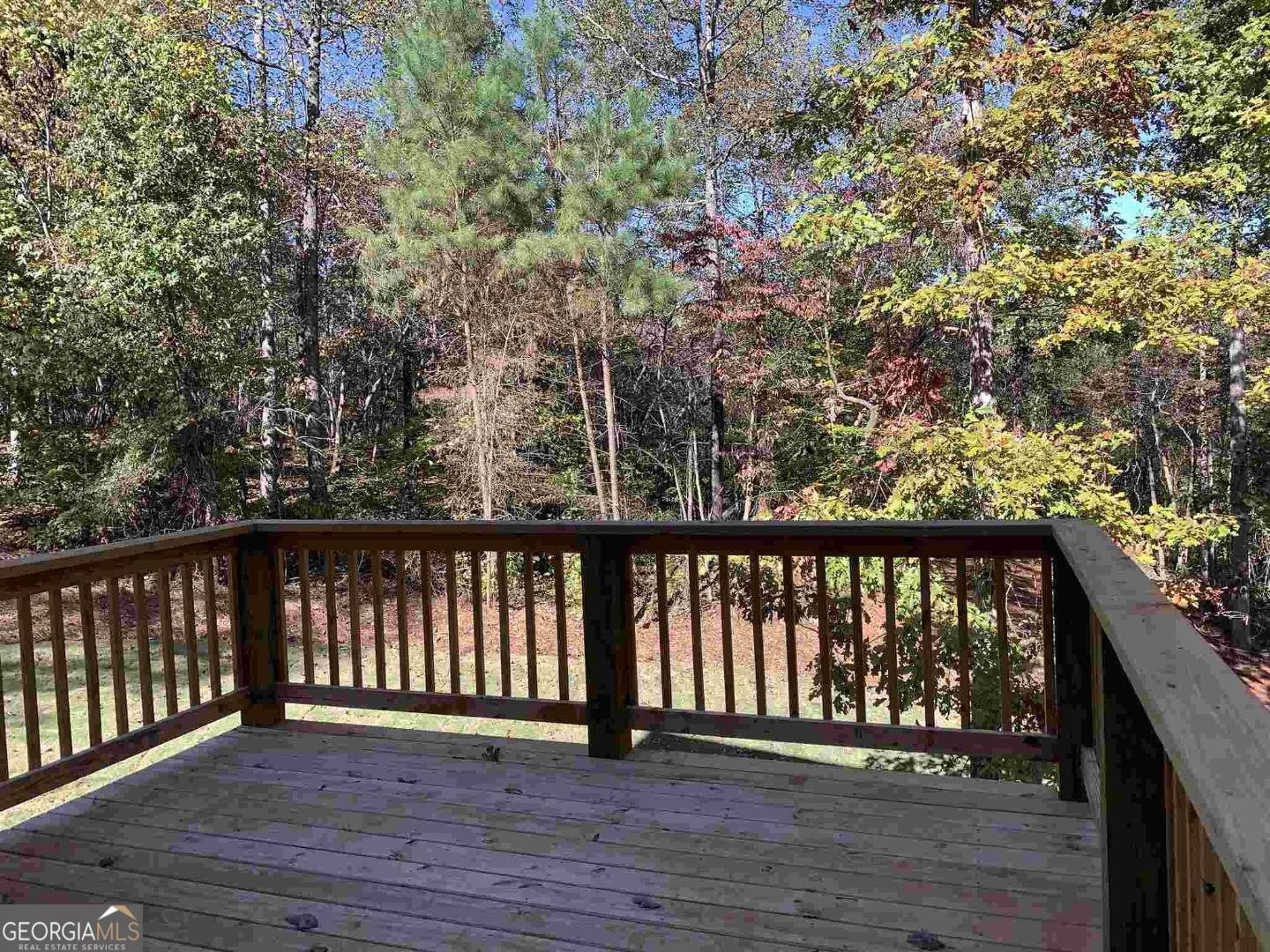 4564 White Horse Drive Braselton - 18