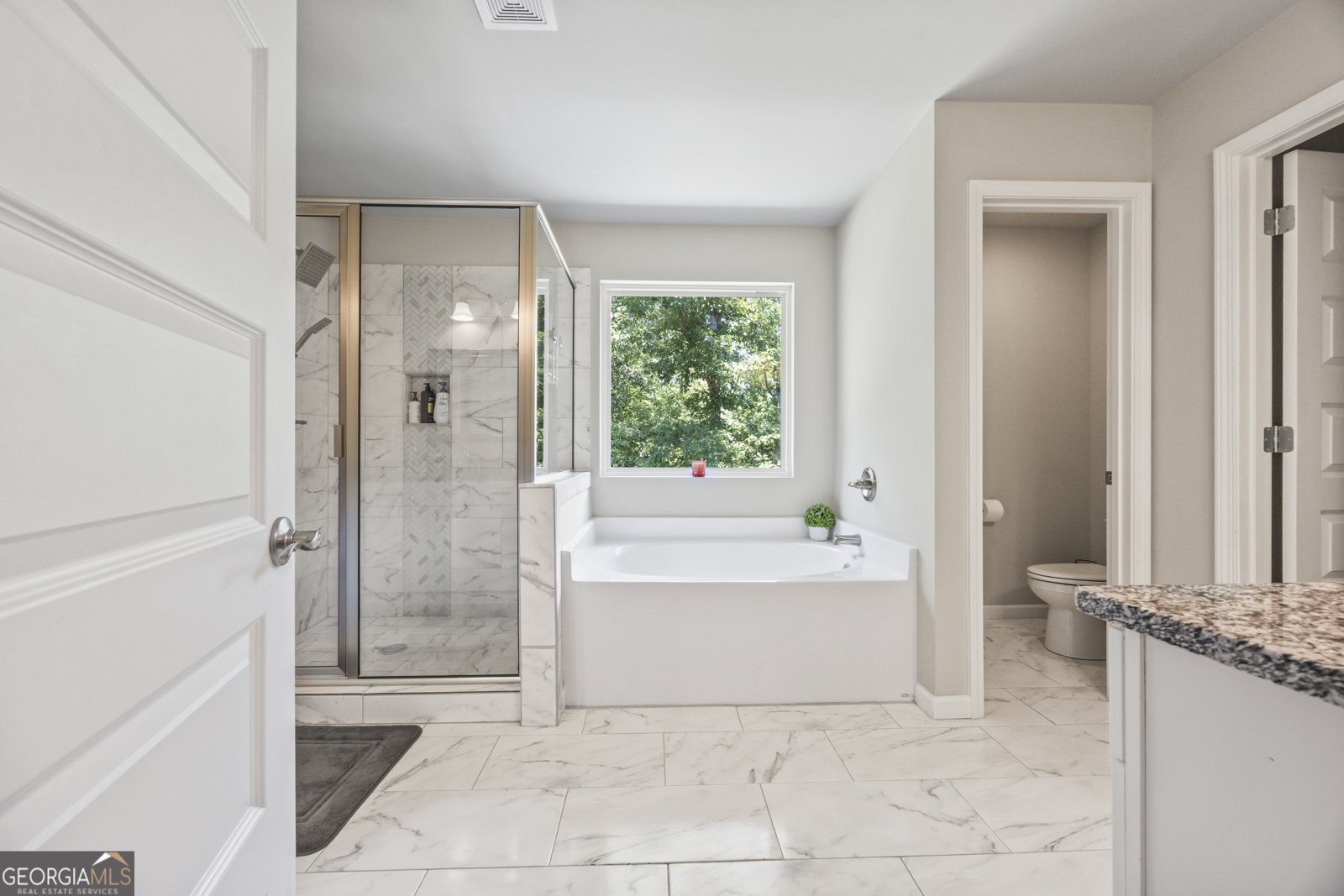 4564 White Horse Drive Braselton - 31