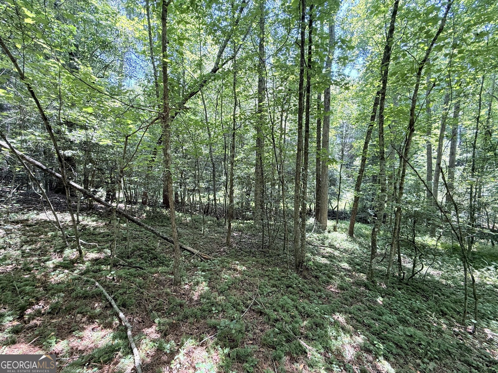 189 Crystal Wood Drive Clarkesville - 18