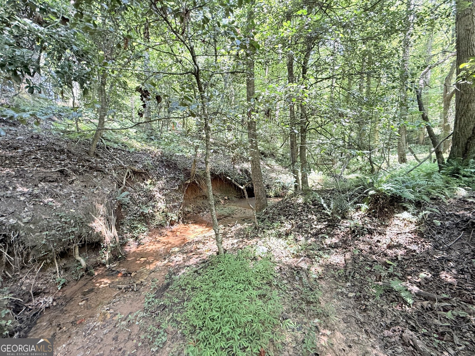 189 Crystal Wood Drive Clarkesville - 19