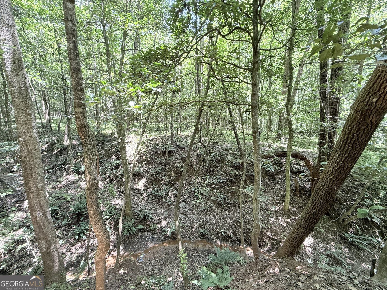 189 Crystal Wood Drive Clarkesville - 20