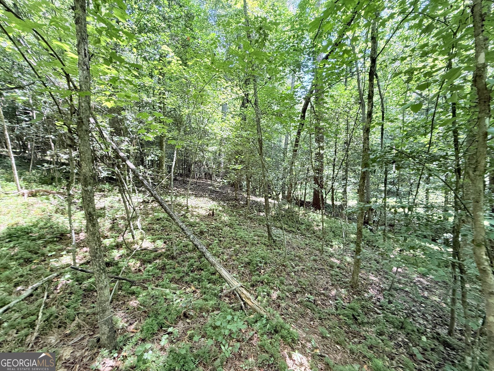 189 Crystal Wood Drive Clarkesville - 21
