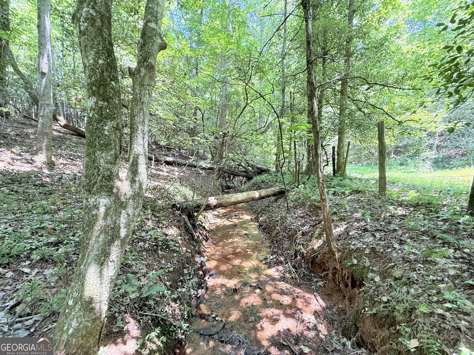 189 Crystal Wood Drive Clarkesville - 22