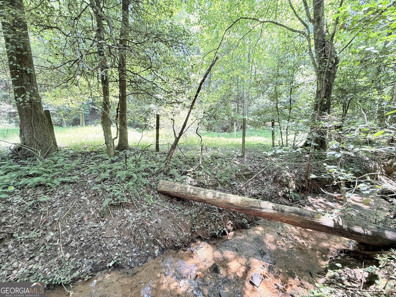 189 Crystal Wood Drive Clarkesville - 23