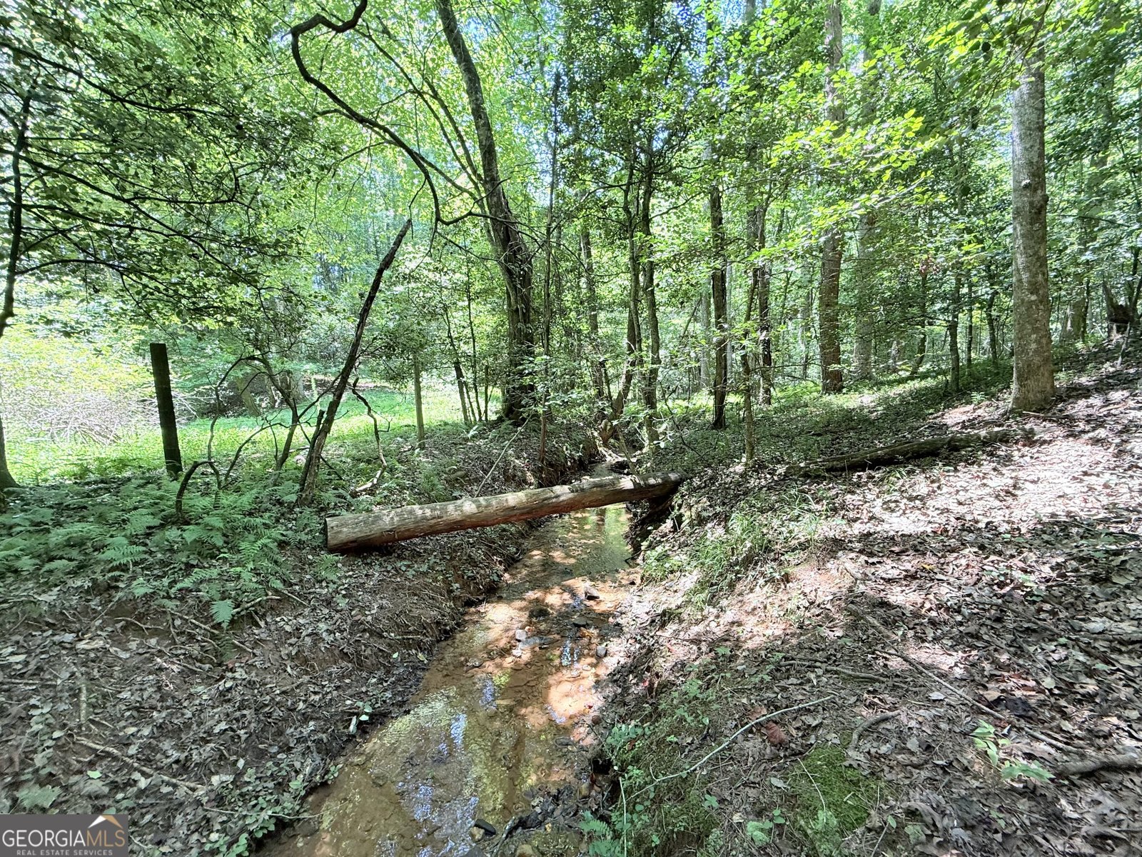 189 Crystal Wood Drive Clarkesville - 24